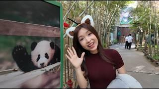 [국제결혼] 귀여운 판다를 처음 보고 정신 못차리는 베트남 아내