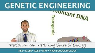 Genetic Engineering - GCSE Biology (9-1)