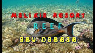 Мalikia Resort Abu Dabbab .Reef. Egypt, Marsa Alam