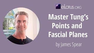 Master Tung’s Points and Fascial Planes with James Spear