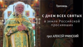 С Днем Всех Святых в земле Российской просиявших! — прот. Алексей Уминский, проповедь 22.06.25