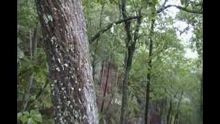 Cumberland Gap / Part 1 /SDV_0058.MP4