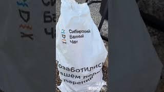 Позаботились о вашем первом парении #банныйчан #здоровье #сибач #чан #сибирскийчан #отдых #релакс