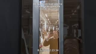 Входная металлическая дверь с подсветкой
