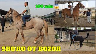 SHO'RO OT BOZOR 100 MLNGA ULOQCHI OTLAR 10.000$ BIYALAR BOZORDA TO'LIB KETTI SAVDO ZO'R BO'LDI.