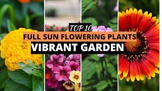 Top 10 Full Sun Flowering Plants for a Vibrant Garden