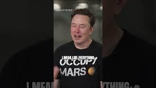 Elon Musk doesn't like Trump's big, beautiful bill
