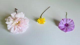What You Need to Know Right Now - Pick a Card - Timeless Tarot
