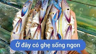 Địa chỉ bán ghẹ sống, ghẹ xanh lớn nhất tại Sài Gòn, vựa hải sản Tư Ghẹ