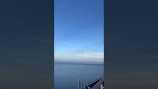 Amazing Seagull Hovering our ship upon arriving in Nassau Island,Bahamas. #shorts #asmr #viralvideo