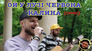 ОЙ У ЛУЗI ЧЕРВОНА КАЛИНА | Acoustic cover by Yevhen Kostik & Roman Balan