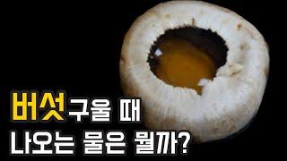 버섯 구울 때 나오는 물은 진짜 건강에  좋을까?