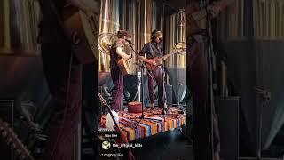 The Offgrid kids~ Chocolate shakes~ Live at Longbay brewery