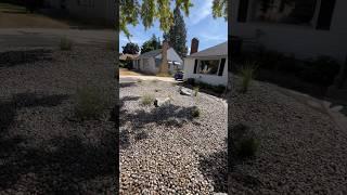 Front yard rock job #rock #landscaping #boulder #plants #work