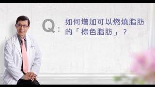 【邱醫幫你瘦】如何增加可以燃燒脂肪的「棕色脂肪」