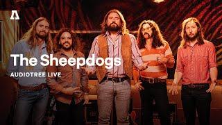 The Sheepdogs on Audiotree Live (Full Session #2)