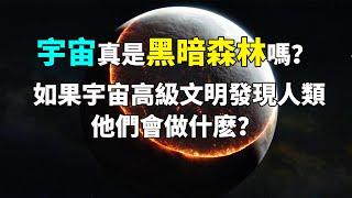 宇宙真是黑暗森林狀態嗎？如果高級文明發現人類，他們會做什麽？