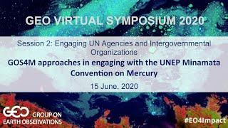 GOS4M approaches in engaging with the UNEP Minamata Convention on Mercury