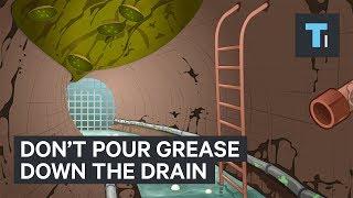 Why you should never pour grease down the drain