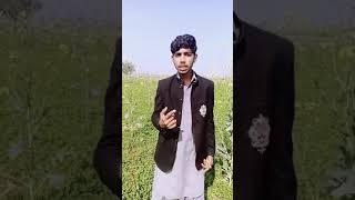 Nice  Ahmad sheeraz 65(5)