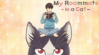 My Roommate is a Cat - Opening | Unknown World