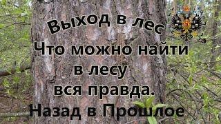 Лесной коп и хорошие  находки Вся правда о находках в лесу