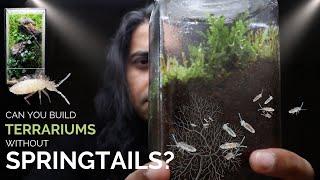 Can you build closed terrariums without springtails?