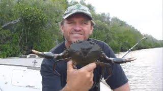 HOW TO CATCH MUD CRABS | Using crab traps and the best tides to set them for more Mud Crabs.