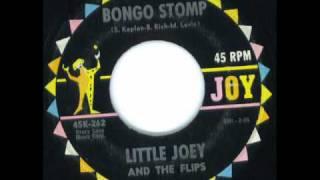 Bongo Stomp - Little Joey & Flips