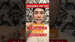 Иш бор ЗАВОДДА 18ёшдан 60ёшгача Еркак аёллар керак  #срочно #musofir #rek