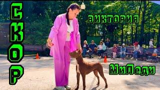 МЕЖДУНАРОДНАЯ ВЫСТАВКА «СКОР»…МиЛеди…КАЛУГА… #grafbalas #dog #скор