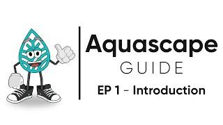 Aquascape Guide - Achieving Balance in a Planted Aquarium / EP 1 - Introduction