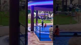 Pool Party At Danat Resort