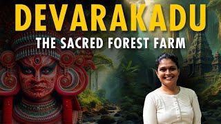 Devarakadu: The Sacred Forest Farm & Its Forgotten Healing Secrets