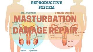 Excessive Masturbation Damage Repair