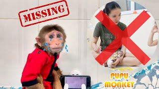 This Is Why PuPu Monkey Disappears !!