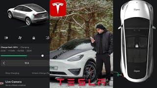 Мобильное приложение TESLA | Какие фишки | Как работает | Тесла Model Y PERFORMANCE