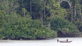 Amazon River Journey