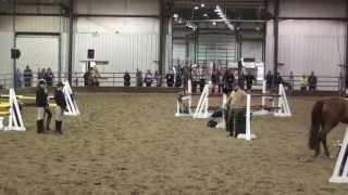 Mane Event Red Deer 2013 Show Jumping Clinician George Morris