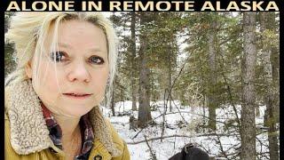 Surviving & Thriving Living Alone in the Woods - Answering Most Frequently Asked Questions