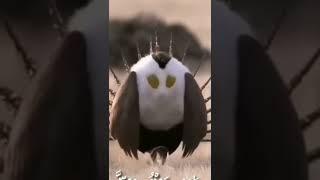 ٥ يونيو ٢٠٢٢(4)