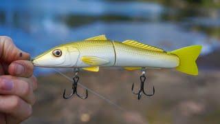 GLIDE BAITING FLATHEAD Along Weed Edges