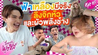 ไดอารี่ส์พุธซี่ส์ EP.16 - ลิงจิกหัว และผัวพลังช้าง