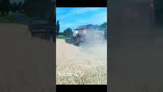 #rostselmash #vector #harvest #wheat #combine #shorts #countrylife #farmlife