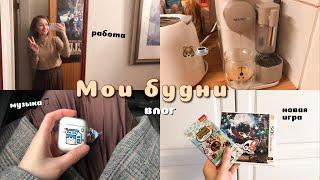 будни студента на юрфаке‍ amiibo карты, игры / влог