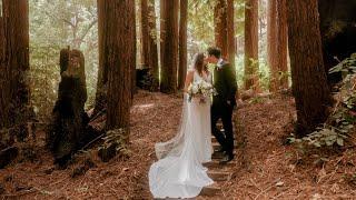 Redwood Forest Wedding at Waterfall Lodge - Santa Cruz Mountains - Riley + Andrew - Big Day Prod.