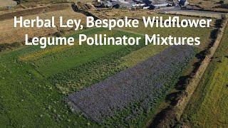 First Hand Case Study with Dr Sarah Beynon: Herbal Ley, Bespoke Wildflower Legume Pollinator Mixture