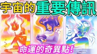 #qq塔羅 來自宇宙的重要傳訊！你命運的奇異點！事業/財運/感情/健康/煩惱/婚姻/家庭/子女 運勢 占卜 預測