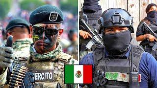 Ejército Mexicano y Cárteles del Narcotráfico - ¿Quién es más Poderoso?