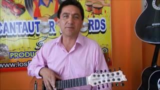 Avispas y abejones | Tutorial | Jaime Castro Cantautor  | Carranga